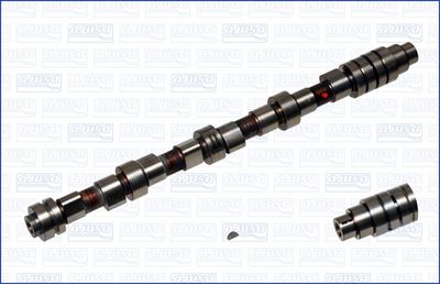 Sadales vārpsta AJUSA 93051800