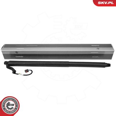 Электромотор, задняя дверь ESEN SKV 52SKV202