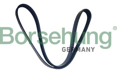 Поликлиновой ремень Borsehung B12505