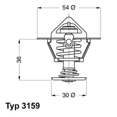Termostats, Dzesēšanas šķidrums BorgWarner (Wahler) 3159.82D