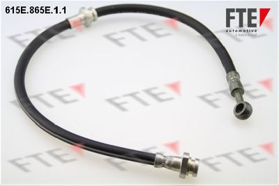 Тормозной шланг FTE 9240813