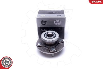 Комплект подшипника ступицы колеса ESEN SKV 29SKV520