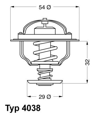 Termostats, Dzesēšanas šķidrums BorgWarner (Wahler) 4038.65D