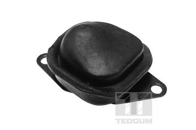 Balsts, Tilta sija TEDGUM 00306238