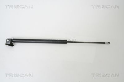 Gāzes atspere, Bagāžas/Kravas nodalījuma vāks TRISCAN 8710 50240