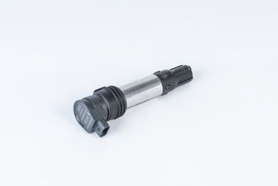 Aizdedzes spole BorgWarner (BERU) ZSE256