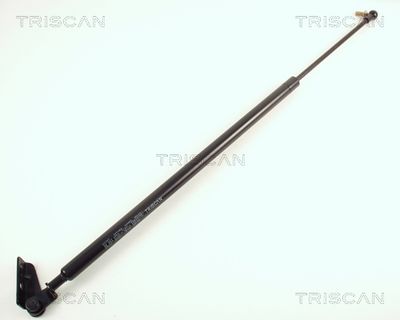 Gāzes atspere, Bagāžas/Kravas nodalījuma vāks TRISCAN 871050201