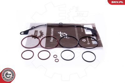 Ремкомплект, модуль впускного коллектора ESEN SKV 96SKV400