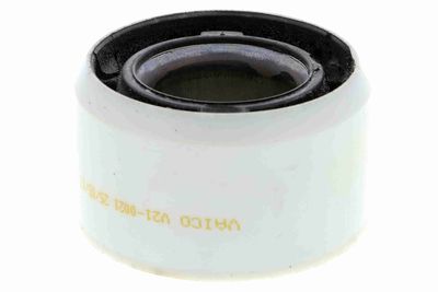 Piekare, Tilta sija VAICO V21-0021
