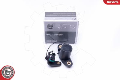 Devējs, Motoreļļas līmenis ESEN SKV 17SKV401