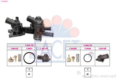 Termostats, Dzesēšanas šķidrums FACET 7.7955KK
