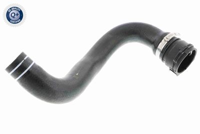 Radiatora cauruļvads VAICO V24-0822