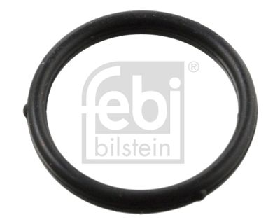 Blīve, Eļļas sūknis FEBI BILSTEIN 104203
