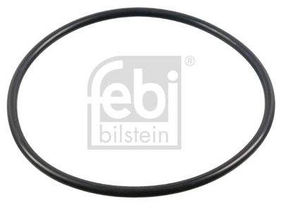 Blīvgredzens, Riteņa rumba FEBI BILSTEIN 44681