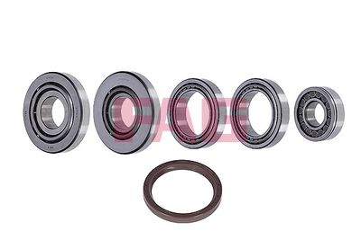 Ремкомплект, дифференциал Schaeffler FAG 463012510