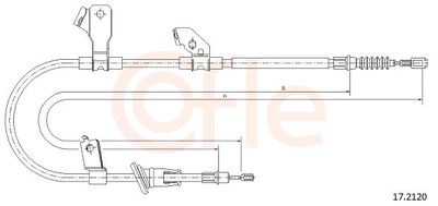  COFLE 17.2120