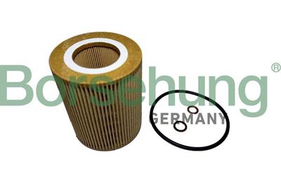 Масляный фильтр Borsehung B12457