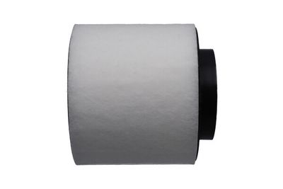 Воздушный фильтр KAVO PARTS FAF-10448