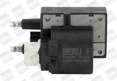 Aizdedzes spole BorgWarner (BERU) ZS255