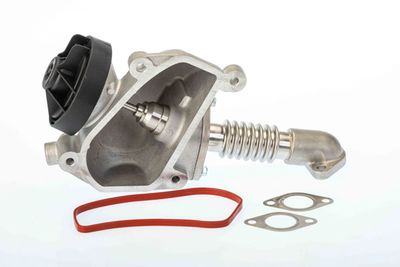 Izpl. gāzu recirkulācijas vārsts BorgWarner 7206D