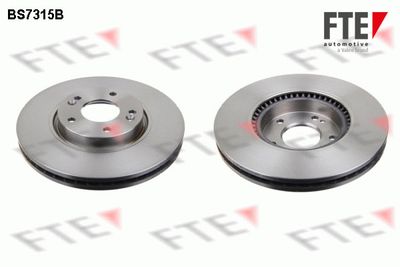 Тормозной диск FTE 9081215