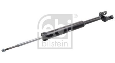 Amortizators FEBI BILSTEIN 1002417