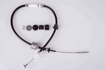 Trose, Sajūga pievads HELLA 8AK 355 701-761