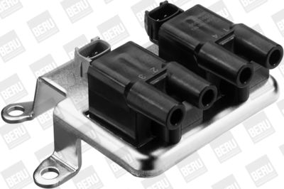 Aizdedzes spole BorgWarner (BERU) ZS513