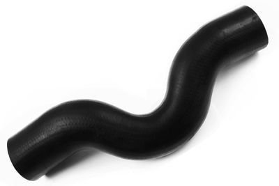 Pūtes sistēmas gaisa caurule BUGIAD 81957