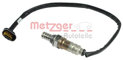  METZGER 0893016