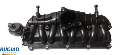 Модуль впускной трубы BUGIAD BIM17040