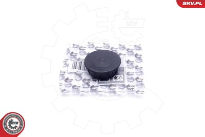 Remkomplekts, Kartera ventilācija ESEN SKV 96SKV223
