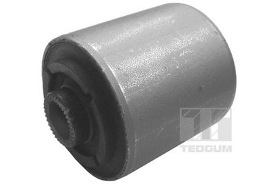 Piekare, Šķērssvira TEDGUM 00344895