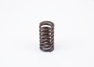 Рессора BOSCH 2434619017