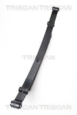 Многолистовая рессора TRISCAN 8765 50005