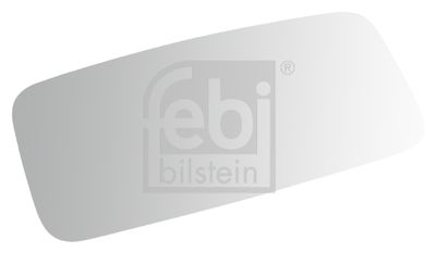 Peegliklaas,Välispeegel FEBI BILSTEIN 100113