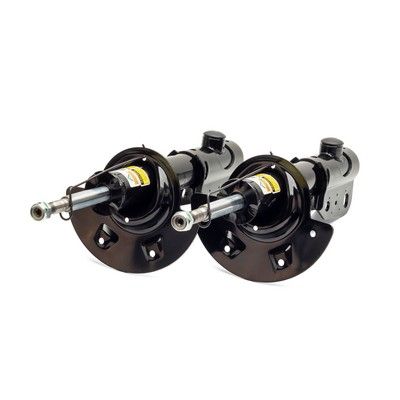 Amortizators Arnott SK-2189