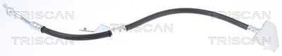 Bremžu šļūtene TRISCAN 815043136