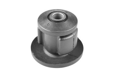 Piekare, Šķērssvira TEDGUM 00344531