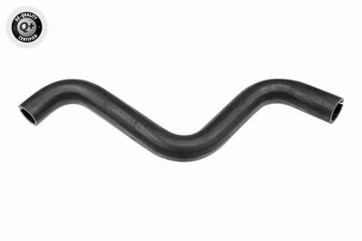 Radiatora cauruļvads VAICO V24-1185