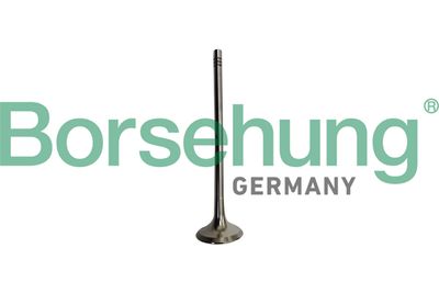 Выпускной клапан Borsehung B10335