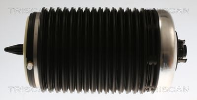 Pneimoatspere, Balstiekārta TRISCAN 8720 29203