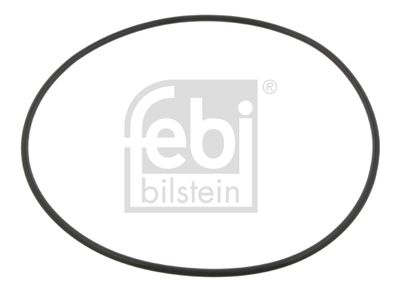 Blīvgredzens, Riteņa rumba FEBI BILSTEIN 09923