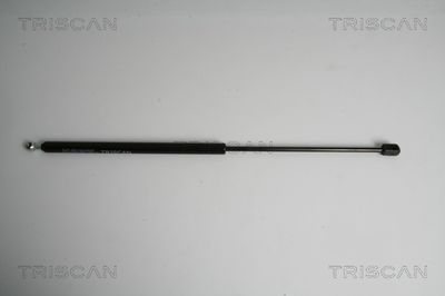 Gāzes atspere, Bagāžas/Kravas nodalījuma vāks TRISCAN 8710 43227