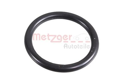  METZGER 2430045