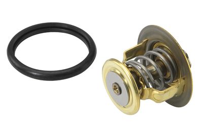 Termostats, Dzesēšanas šķidrums BorgWarner (Wahler) 410131.88D