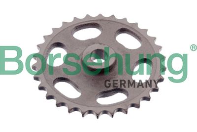 Комплект цели привода распредвала Borsehung B12724
