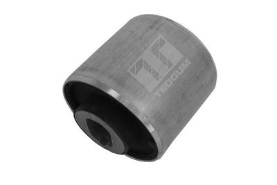 Piekare, Šķērssvira TEDGUM 00411287