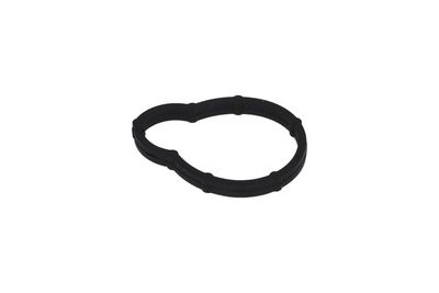 Прокладка, впускной коллектор KAMOKA 8704070