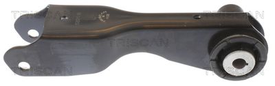 Neatkarīgās balstiekārtas svira, Riteņa piekare TRISCAN 8500 165062